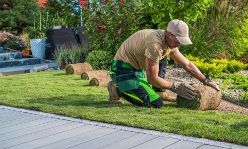 professional-landscaper-installing-new-grass-turfs-backyard-garden_1426-17258